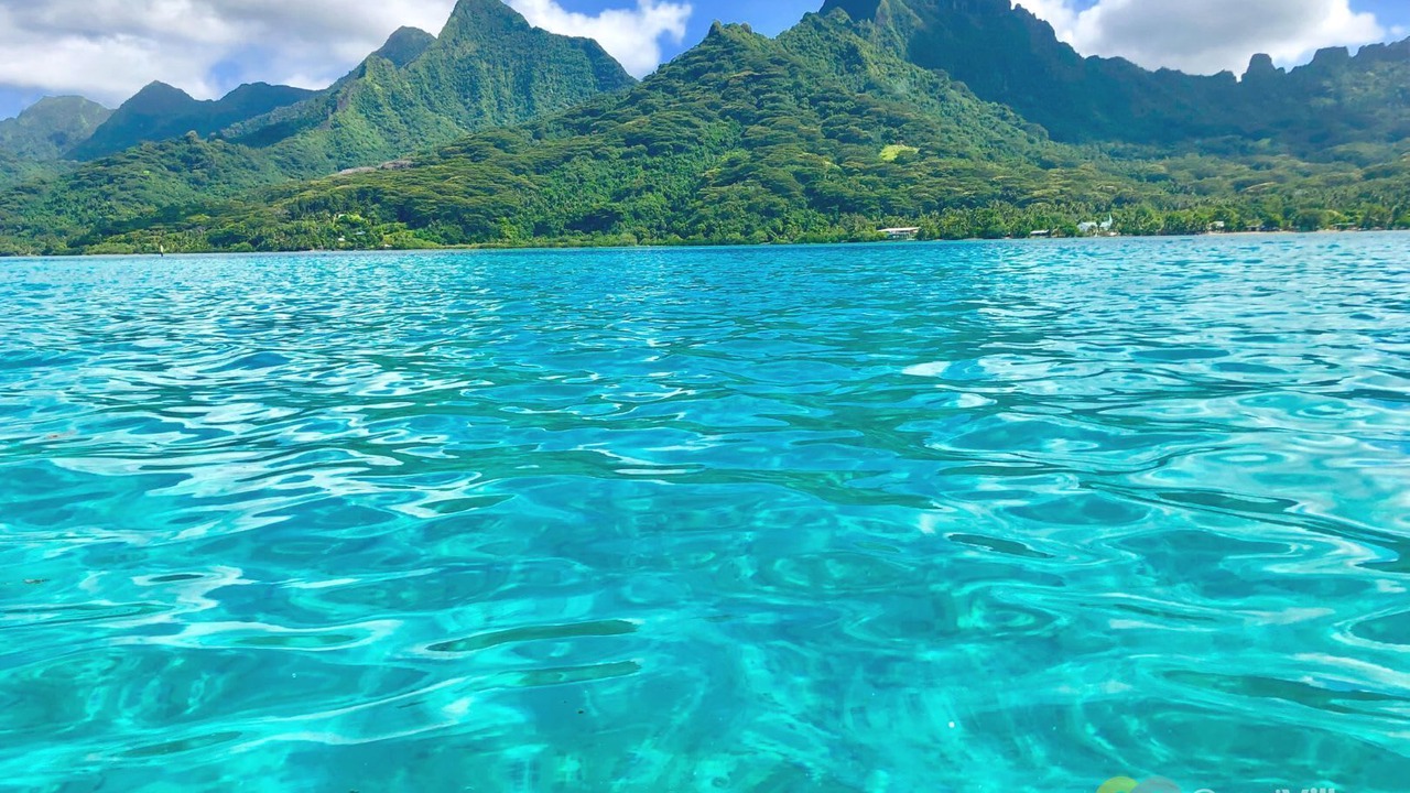 Photo of Outdoor in Moorea-Maiao
