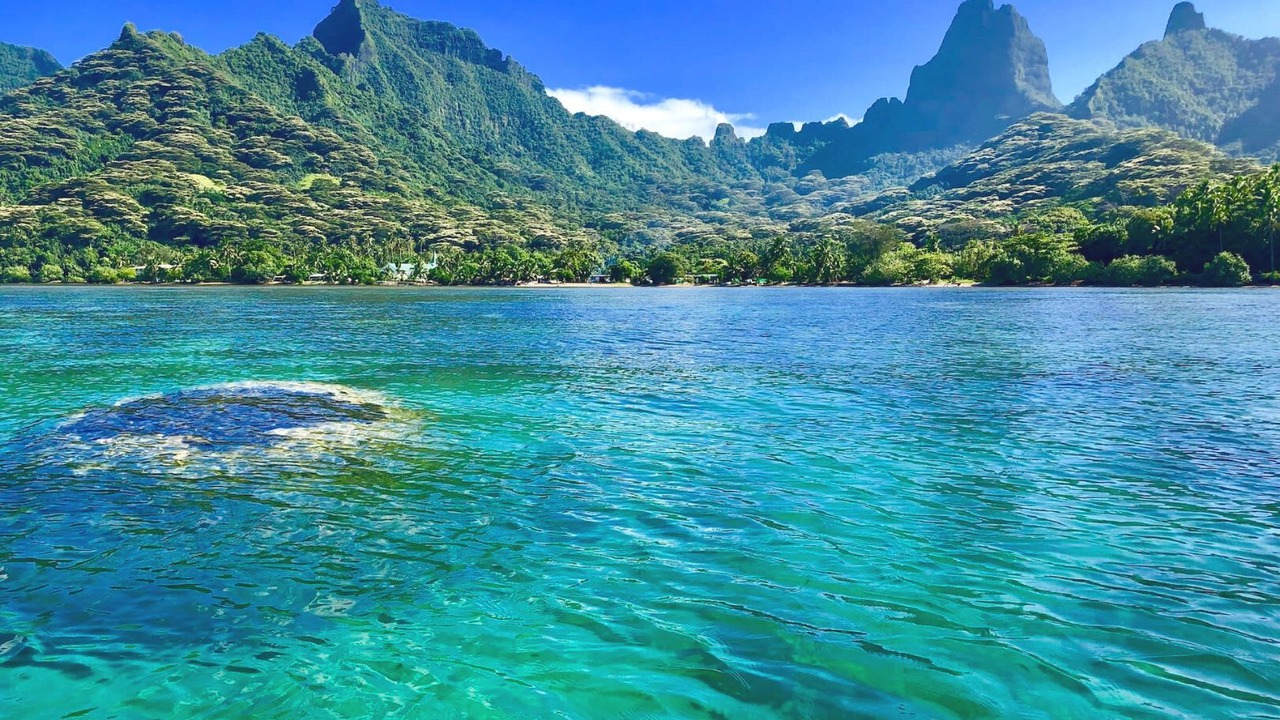 Photo of Others in Moorea-Maiao
