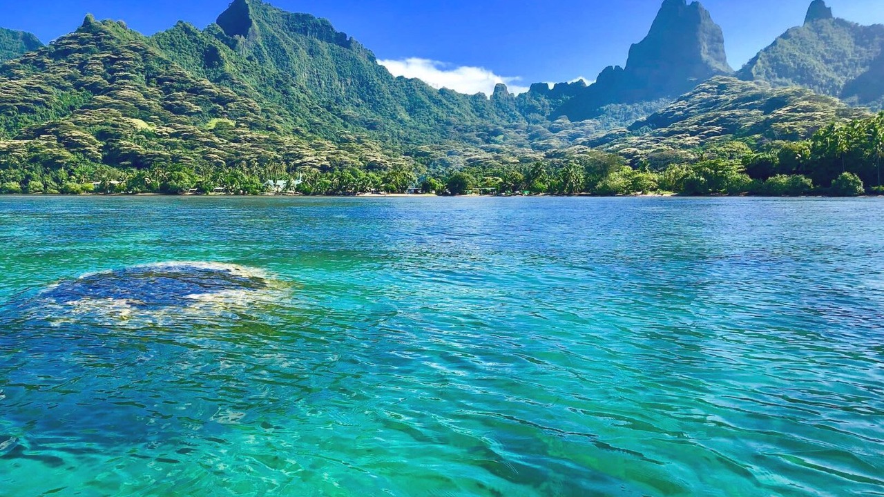 Photo of Others in Moorea-Maiao