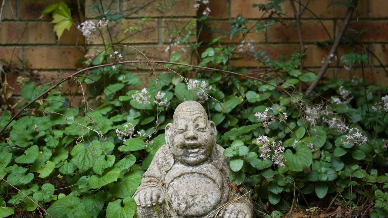 Photo of Outdoor in Leura