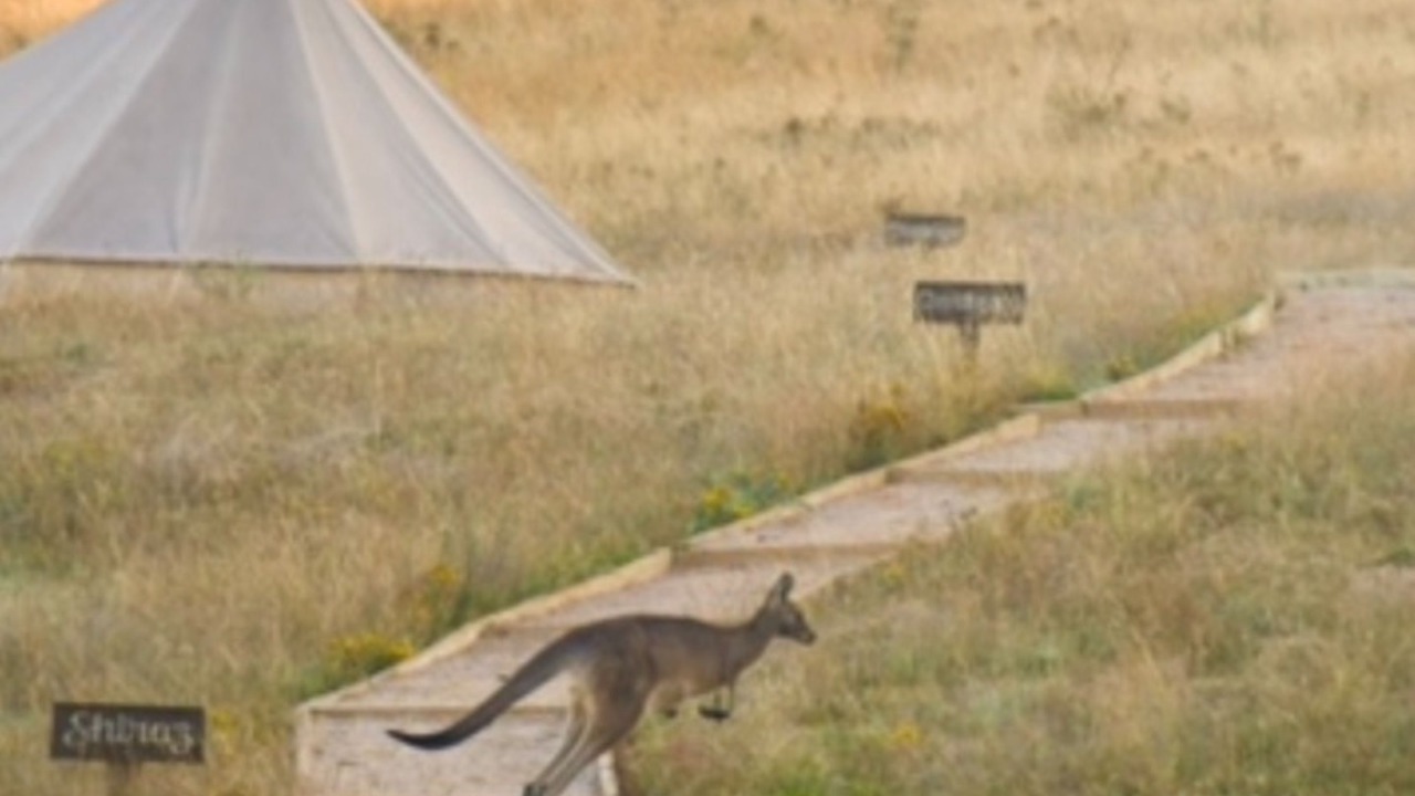 Photo of Outdoor in Windeyer