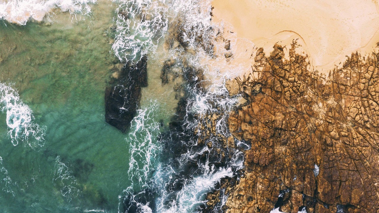 Photo of Others in Avoca Beach