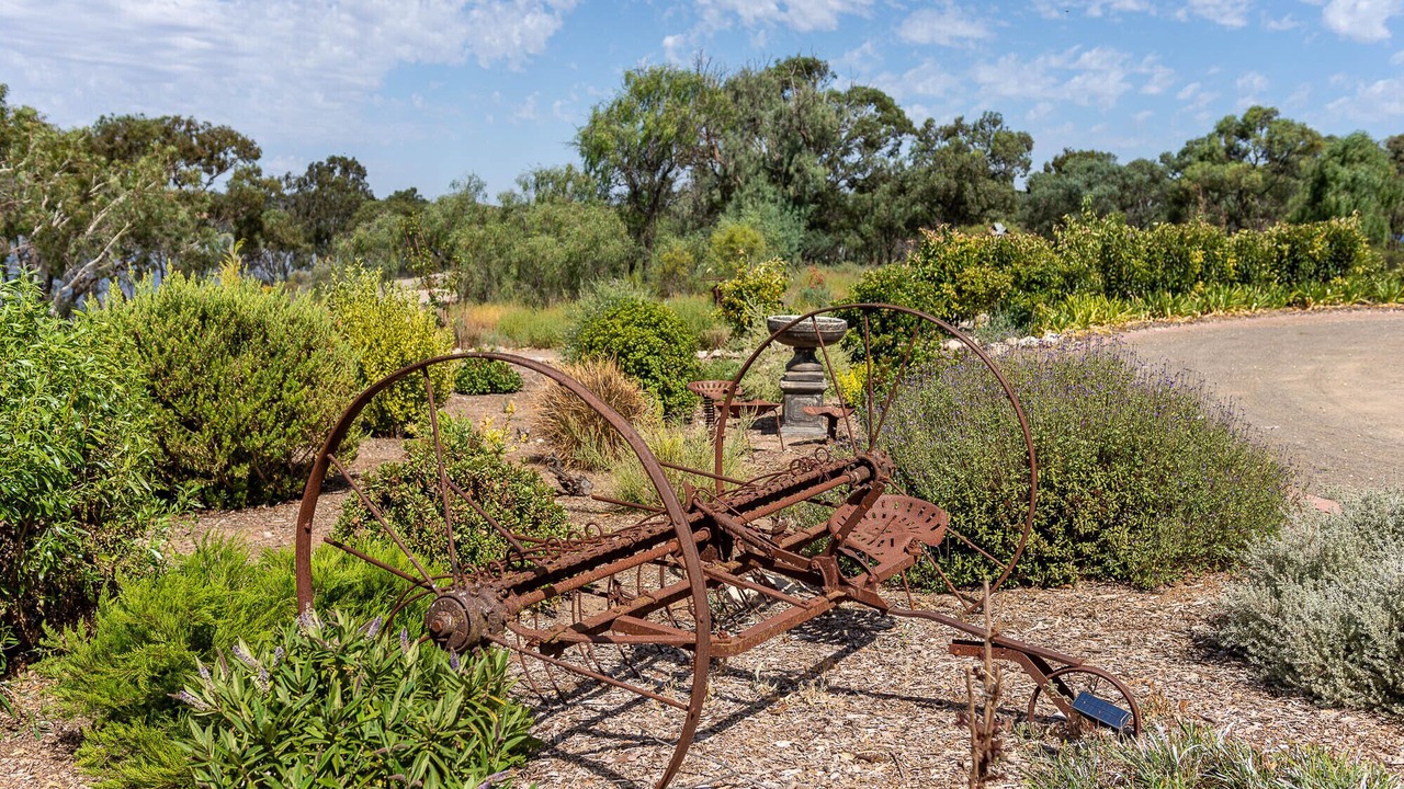 Photo of Outdoor in Walker Flat