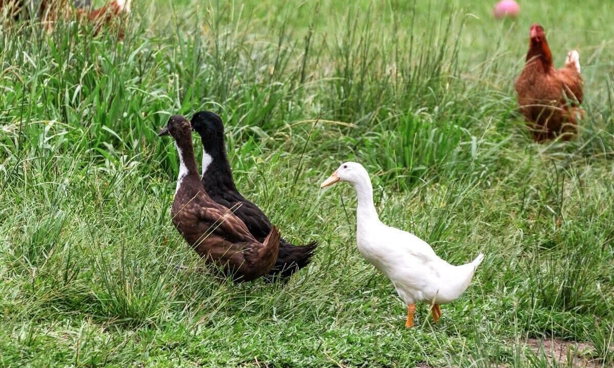 Photo of Others in James Creek