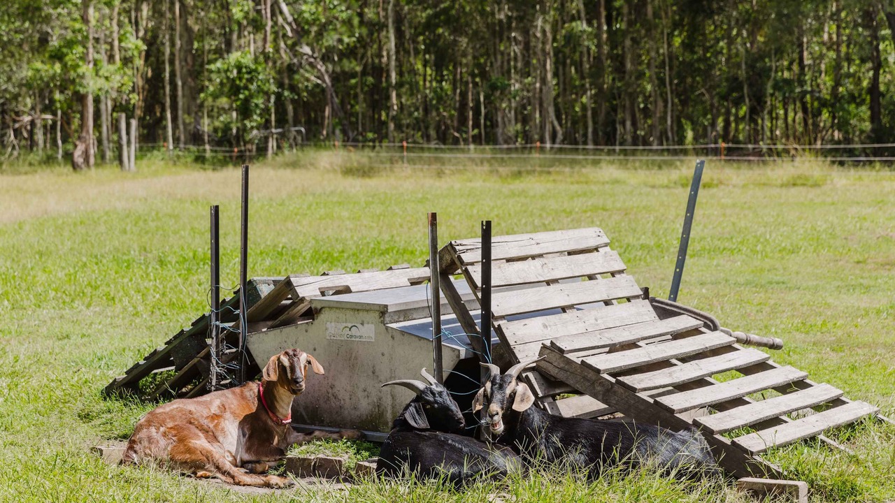 Photo of Others in James Creek