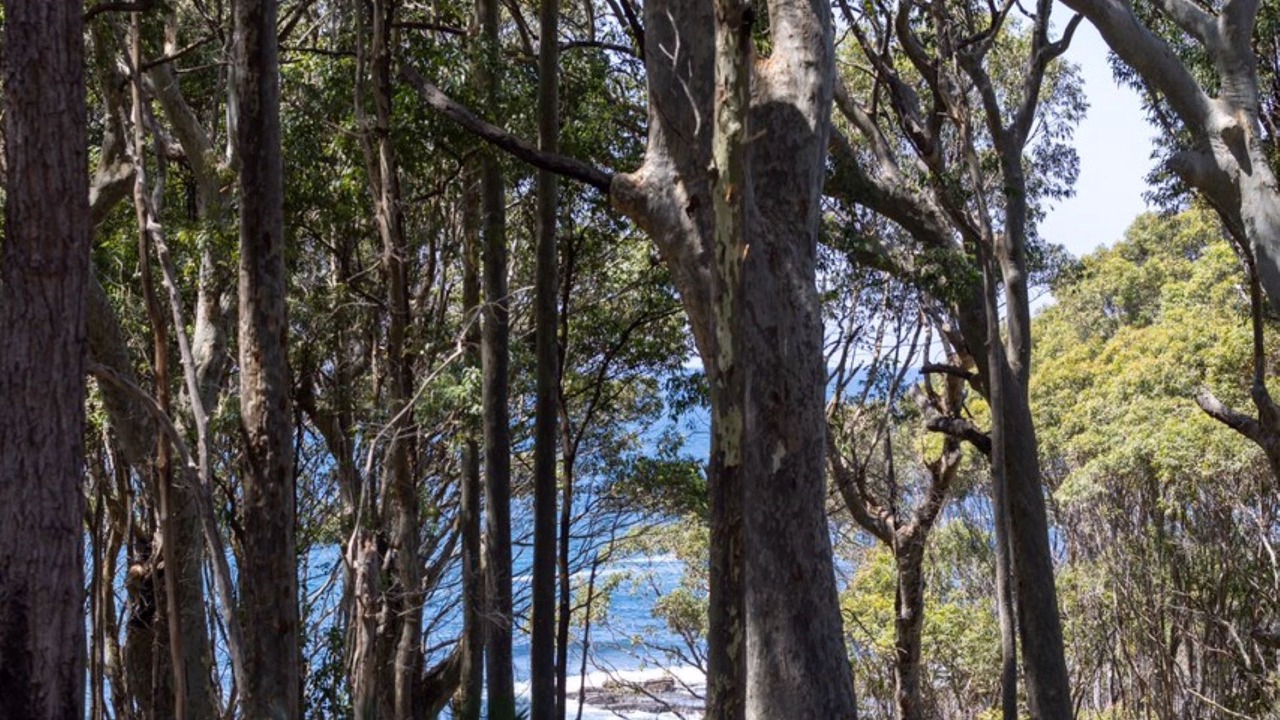 Photo of Outdoor in Depot Beach