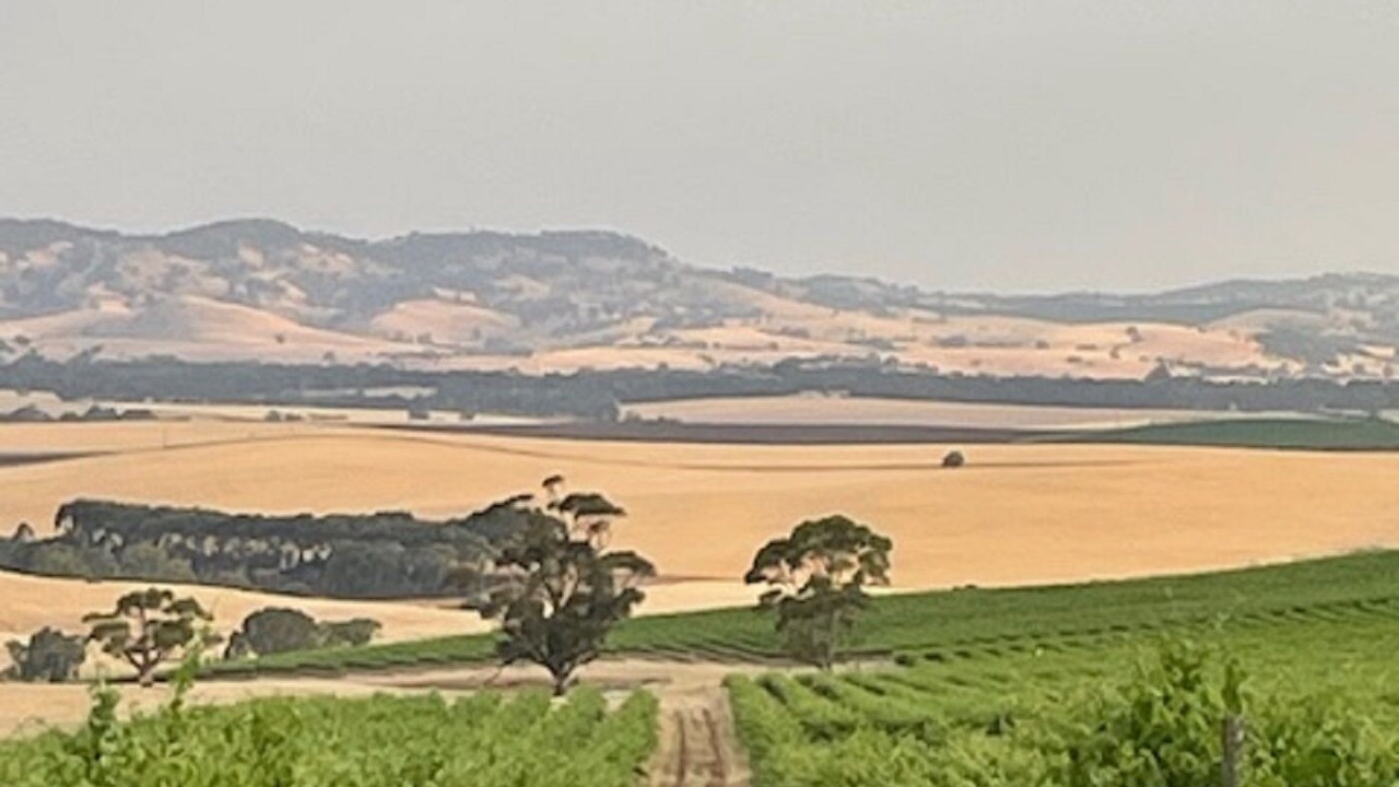 Photo of Others in Gawler