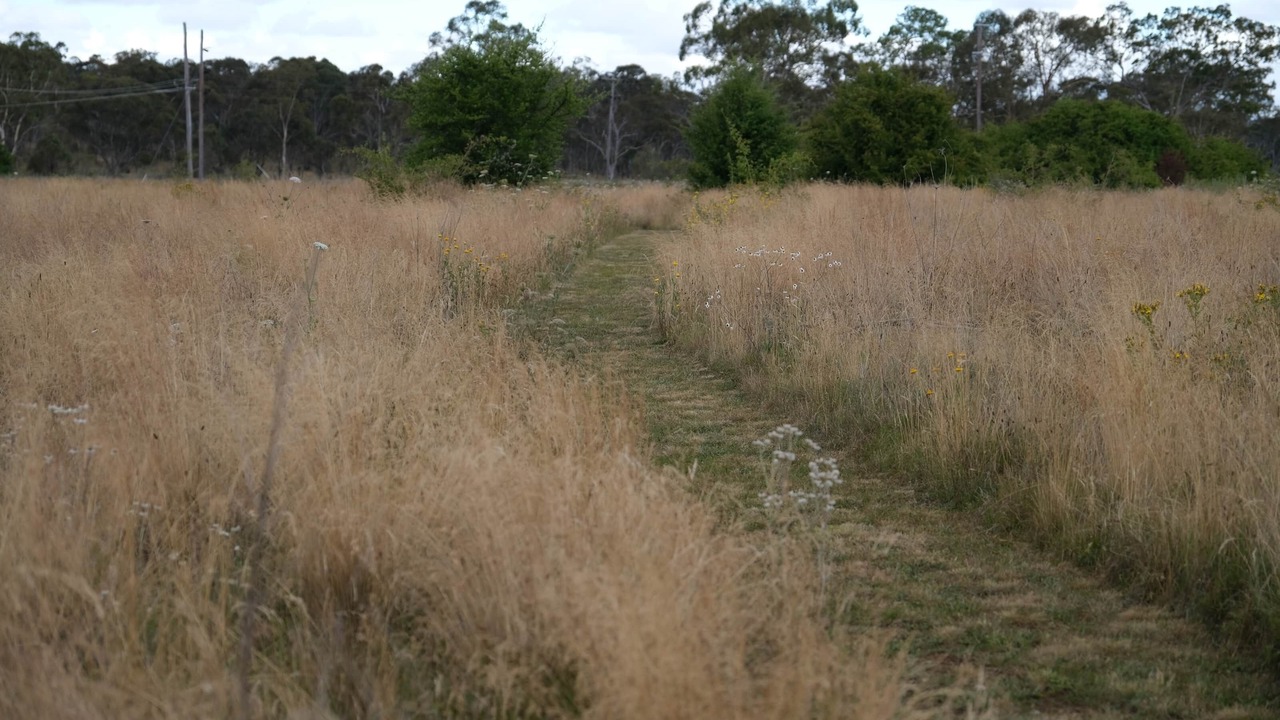 Photo of Others in Armidale