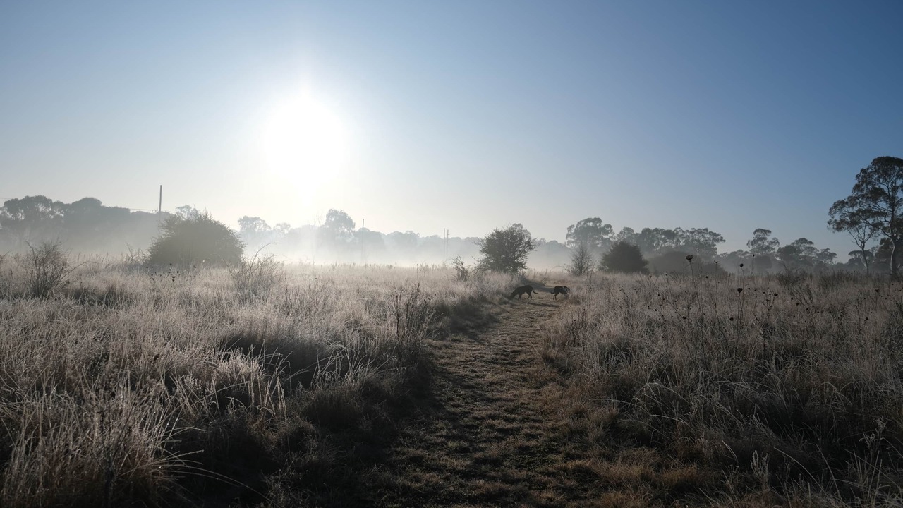 Photo of Others in Armidale