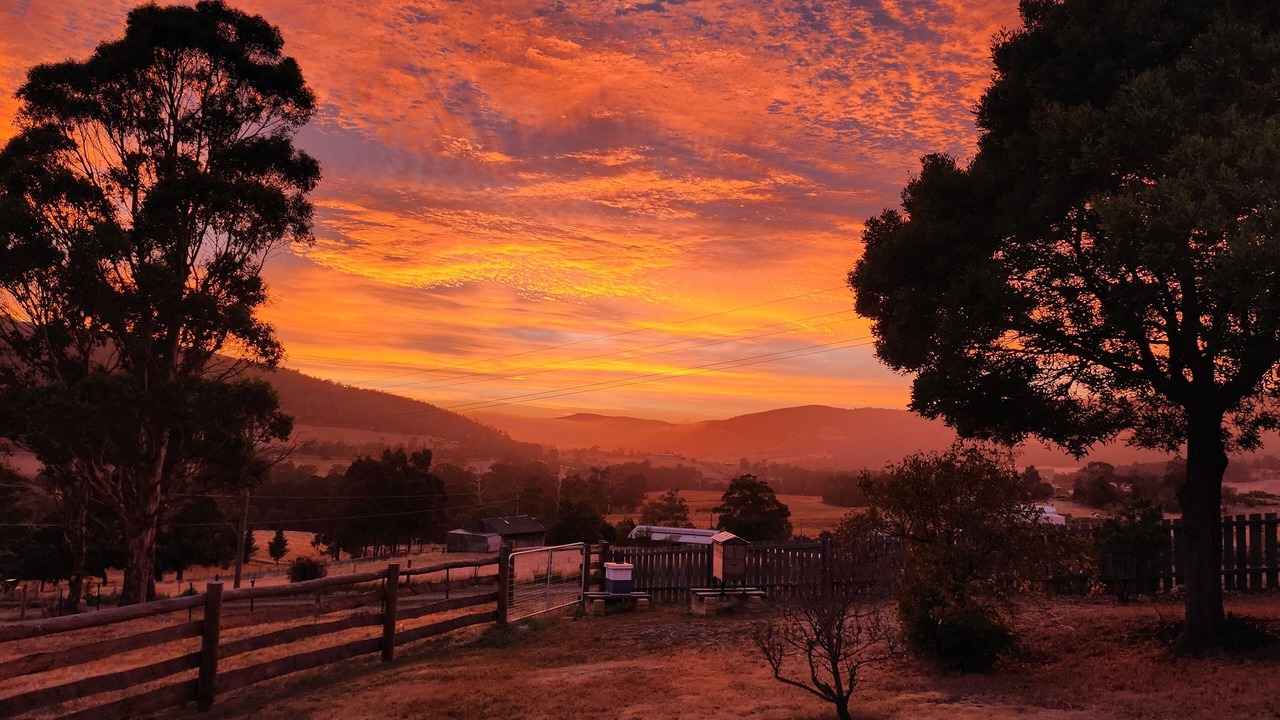 Photo of Others in Huon Valley