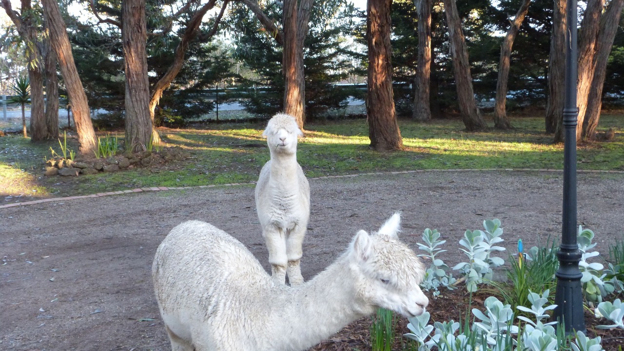 Photo of Outdoor in Bellbrae