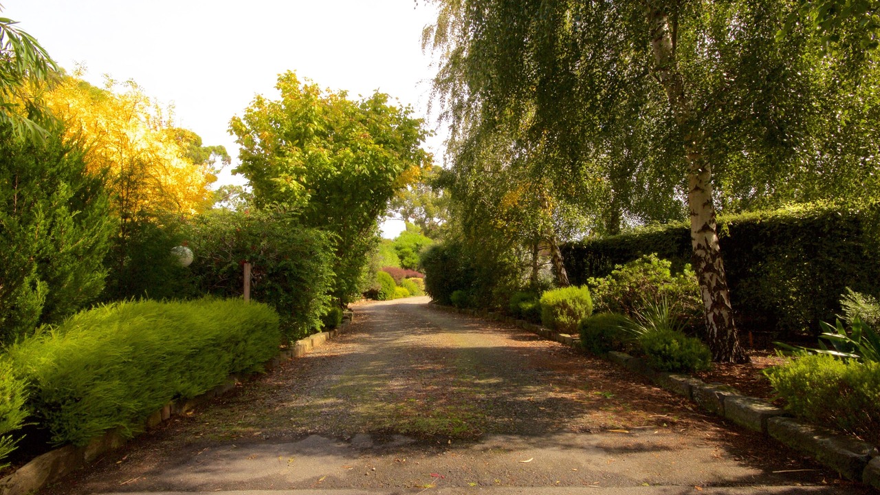 Photo of Outdoor in Taranna