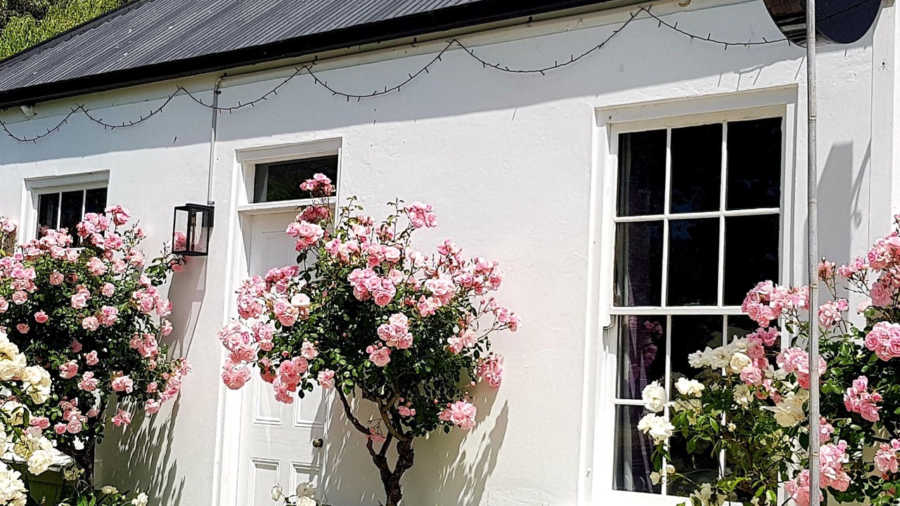 Photo of Outdoor in Port Fairy