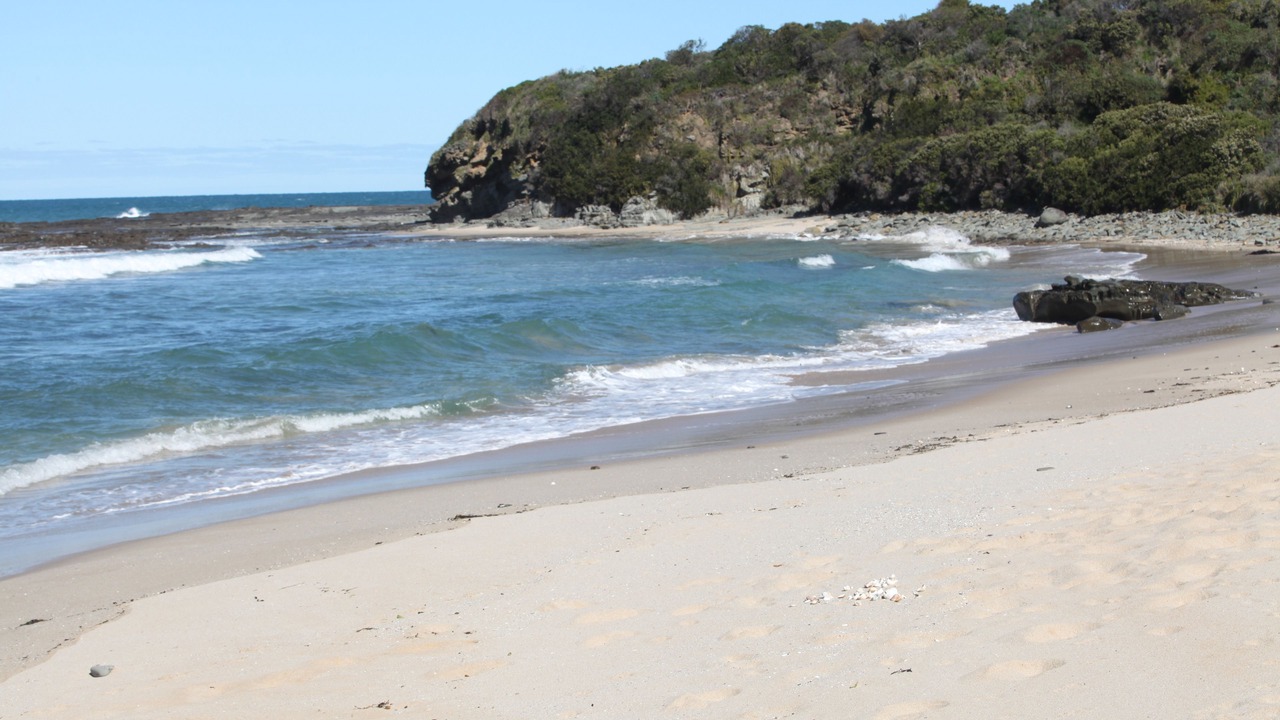 Photo of Others in Wongarra