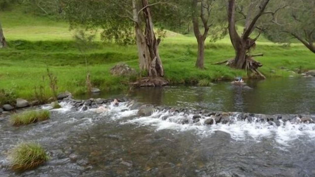 Photo of Outdoor in Lamington