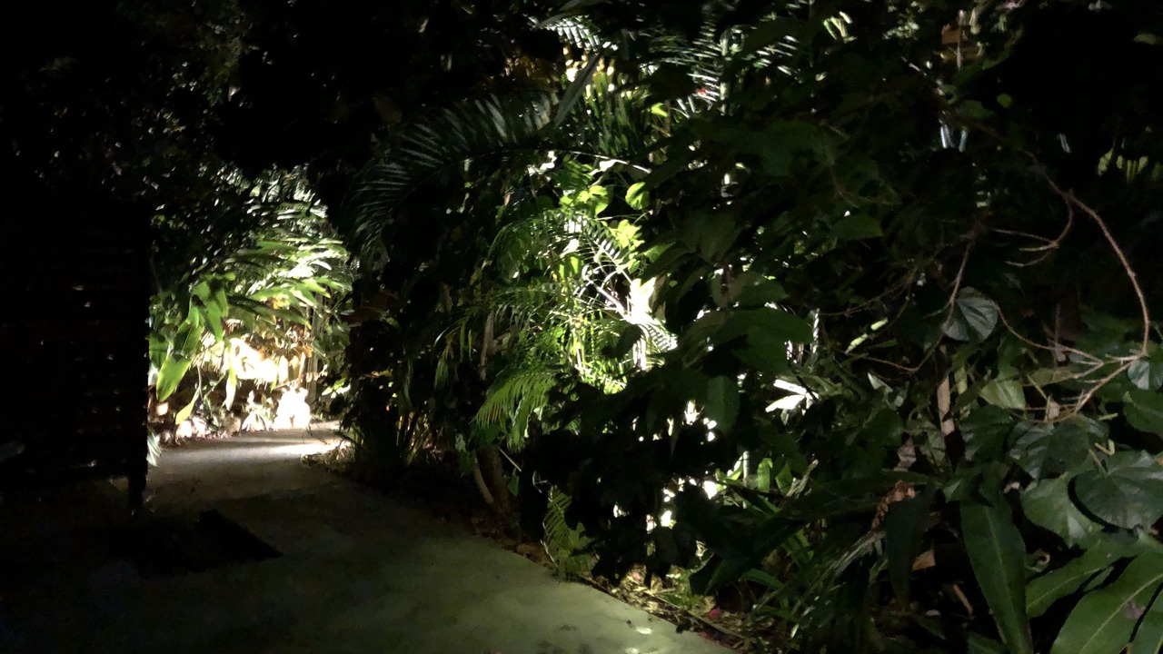 Photo of Outdoor in Picnic Bay
