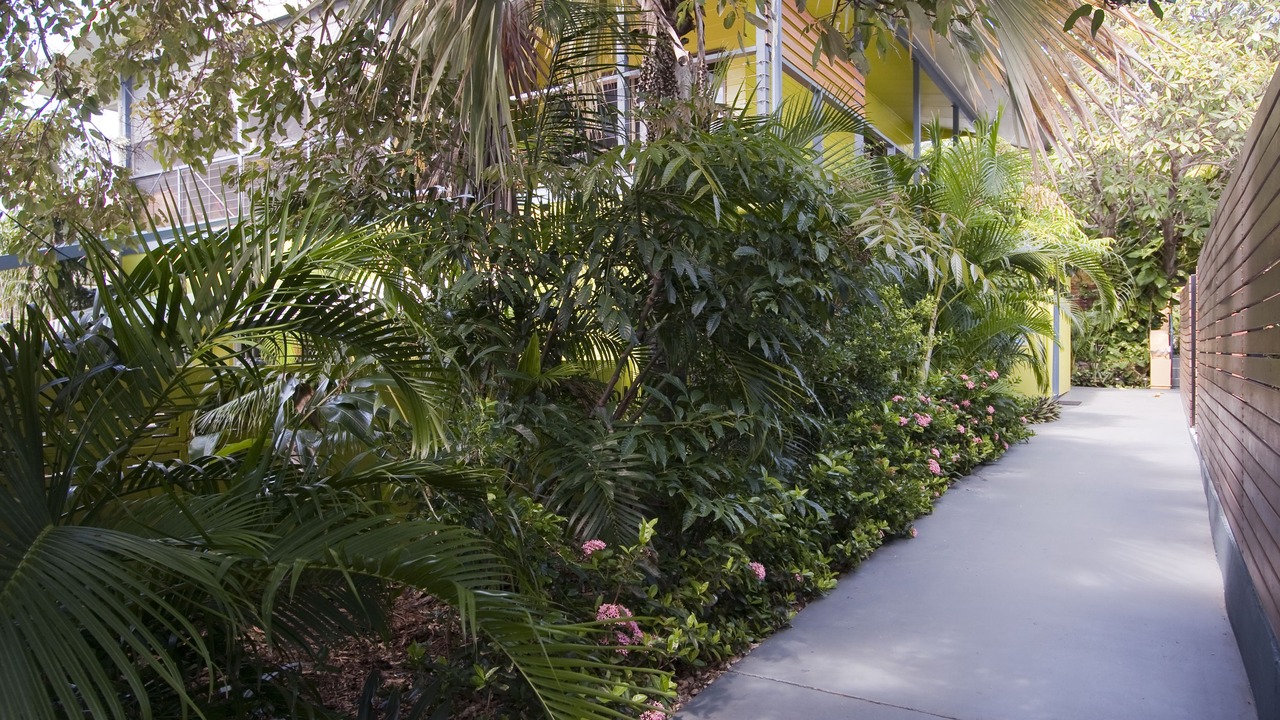 Photo of Outdoor in Picnic Bay