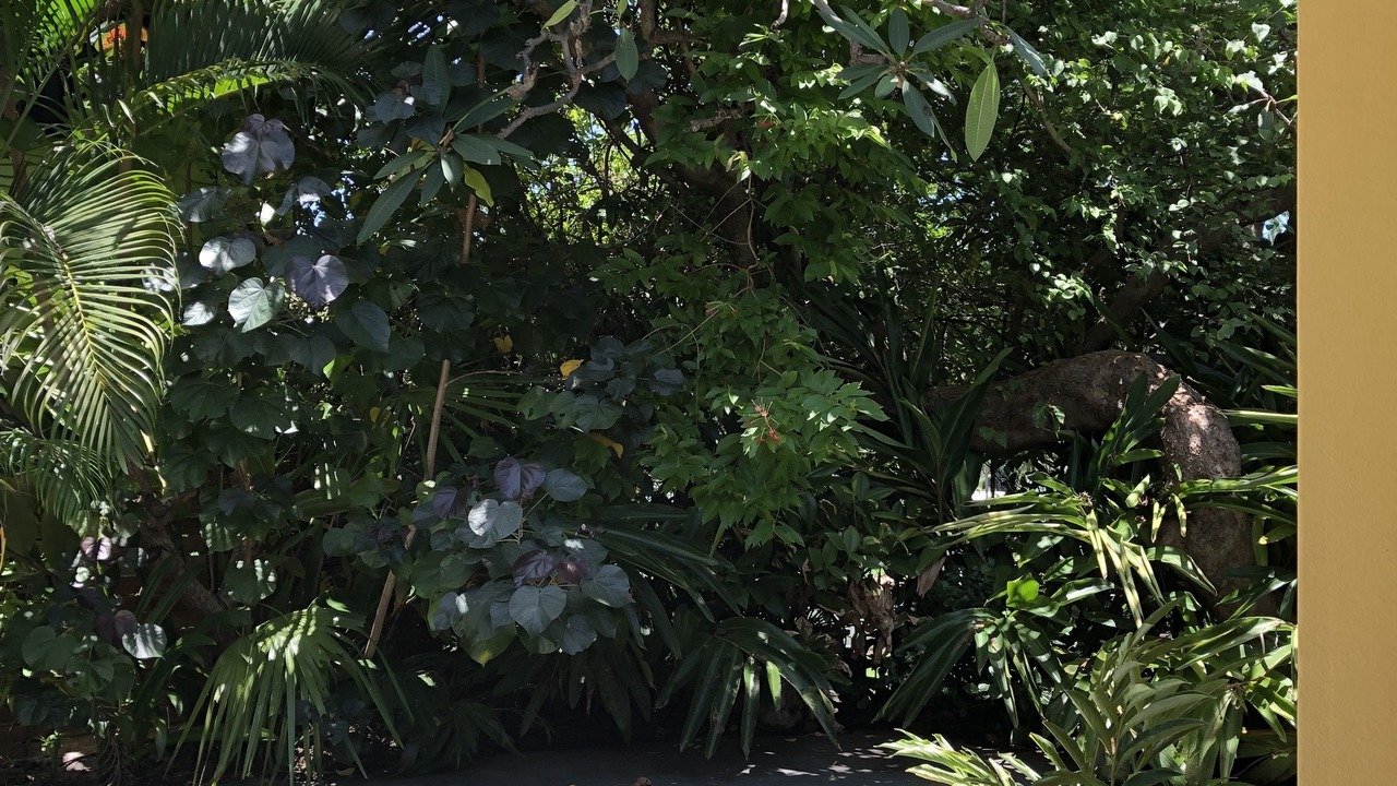 Photo of Outdoor in Picnic Bay
