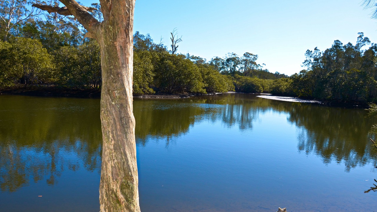 Photo of Outdoor in Woollamia