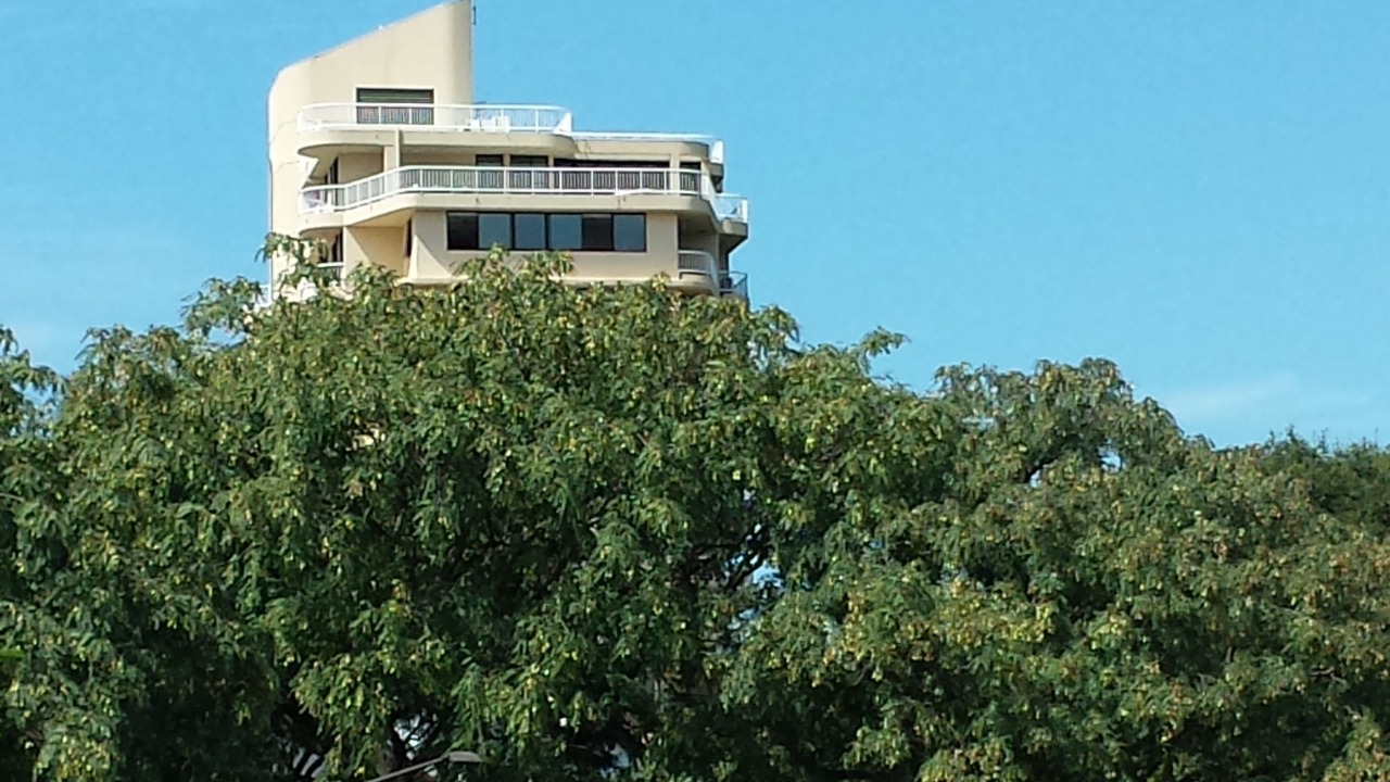 Photo of Outdoor in New Farm