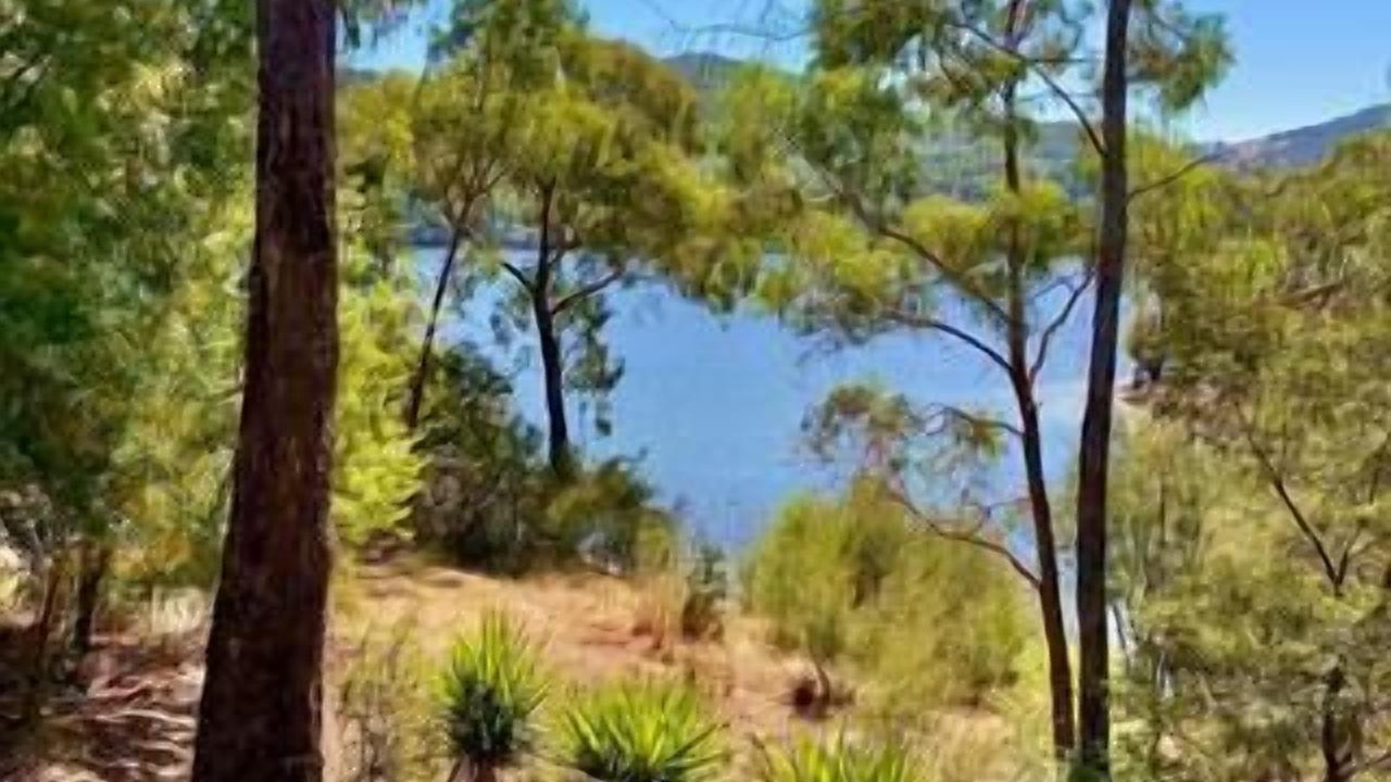 Photo of Outdoor in Jamieson