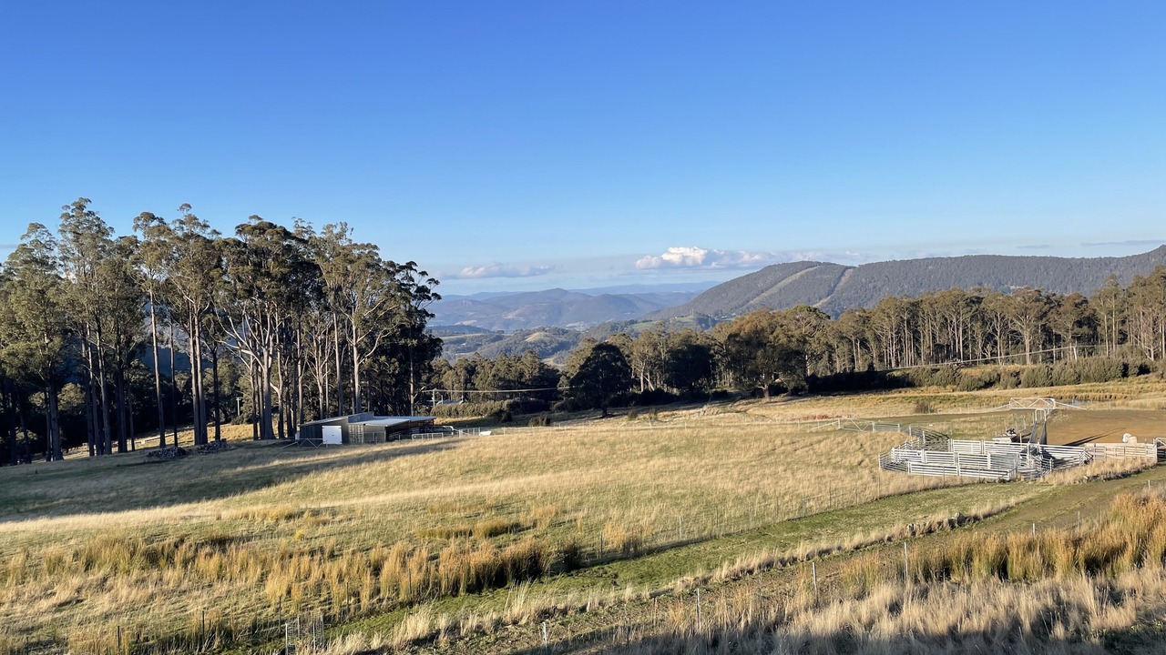 Photo of Others in Collinsvale