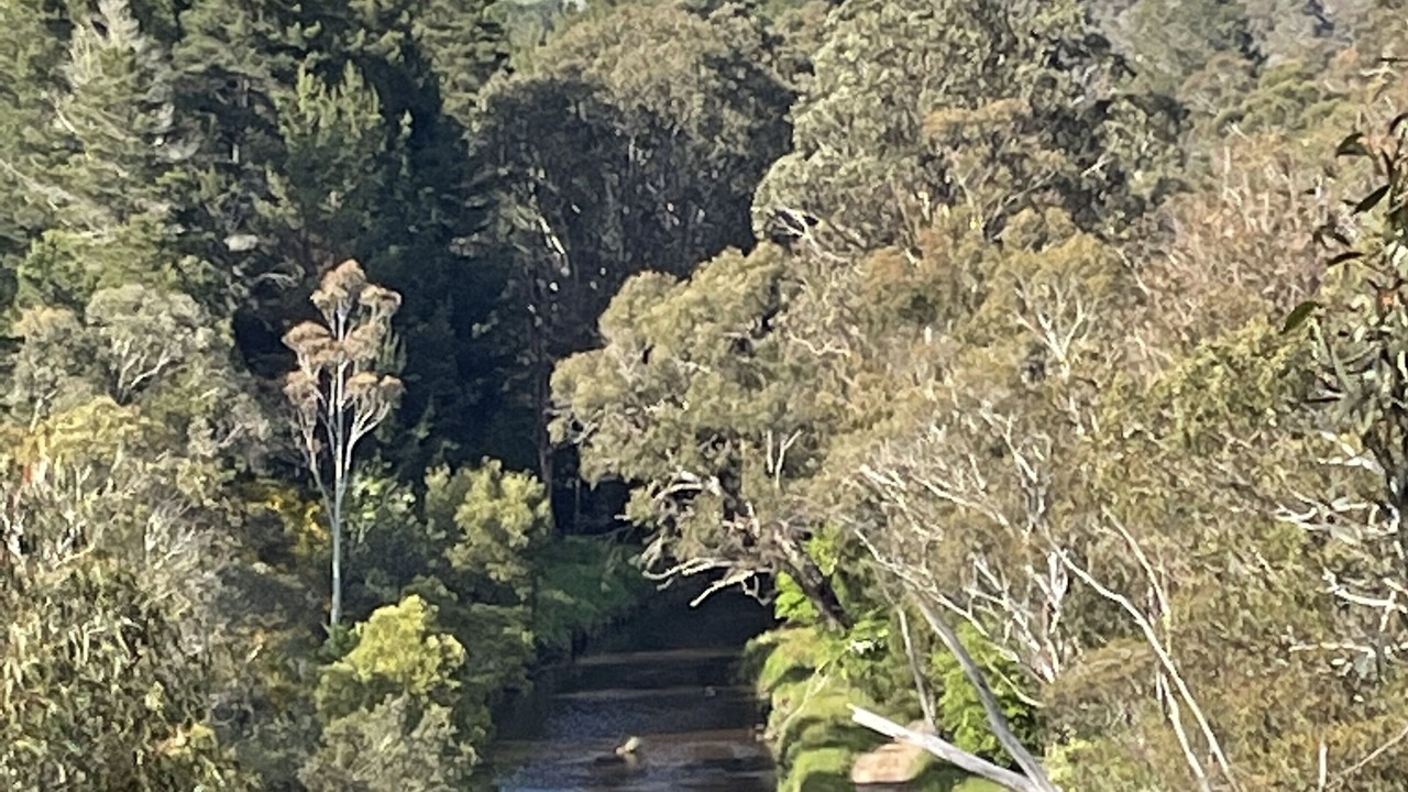 Photo of Outdoor in Omeo