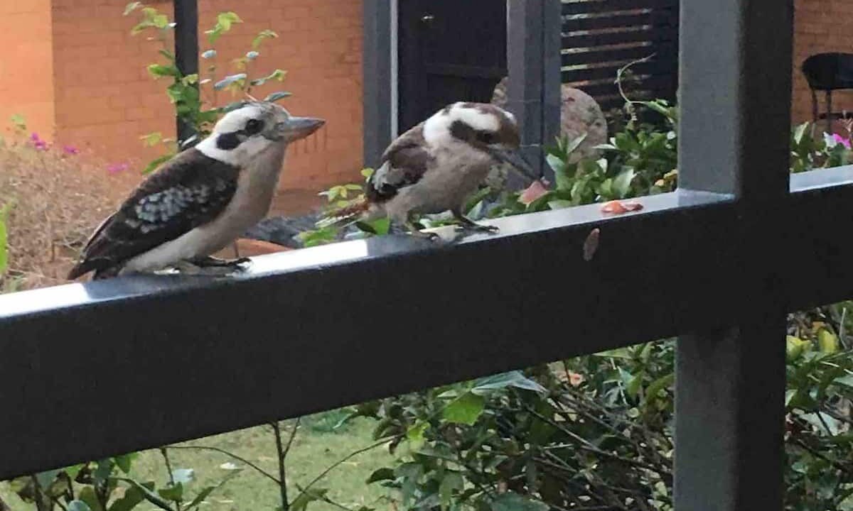 Photo of Outdoor in Brisbane