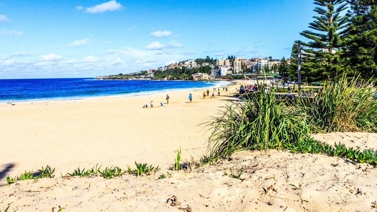 Photo of Others in Clovelly