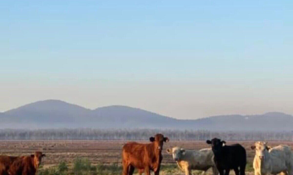 Photo of Others in Verges Creek