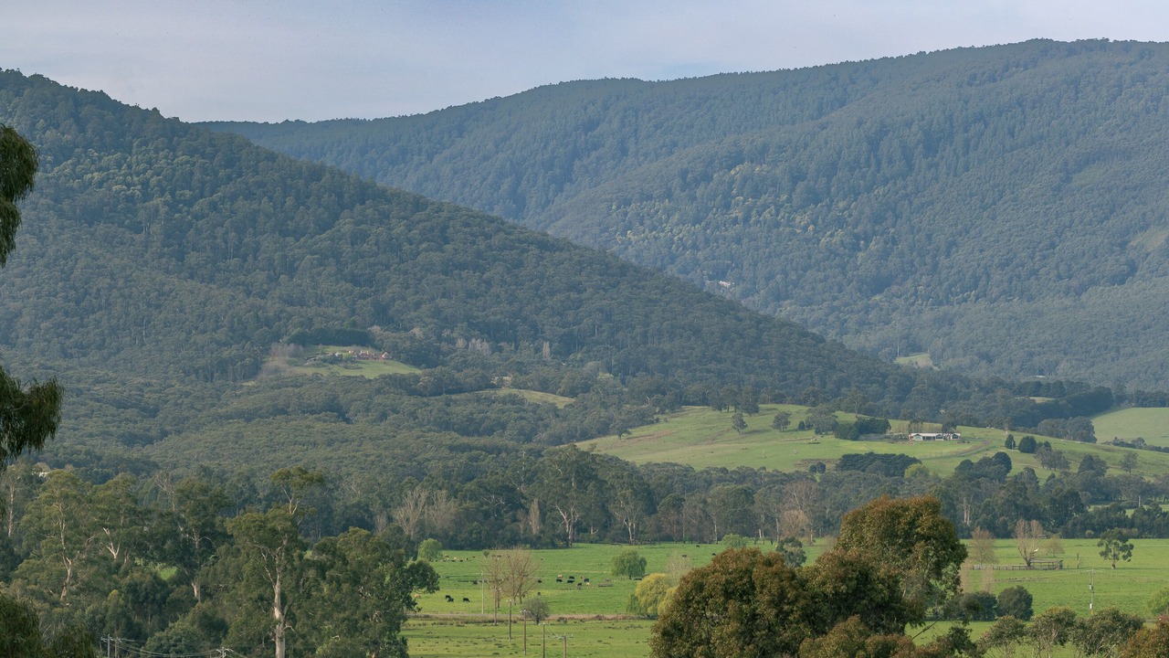 Photo of Others in Woori Yallock
