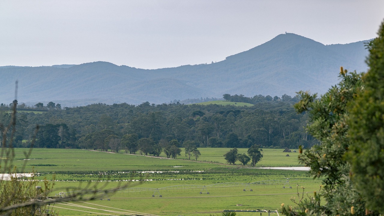 Photo of Others in Woori Yallock