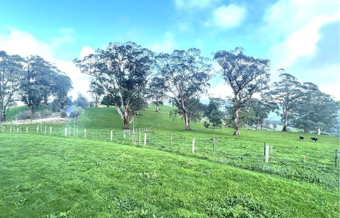 Photo of Outdoor in Mount Eccles