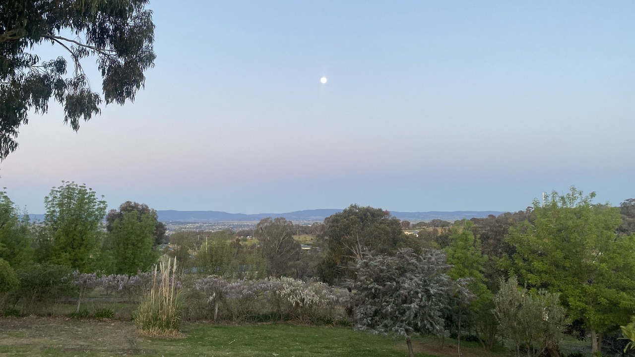 Photo of Others in Robin Hill