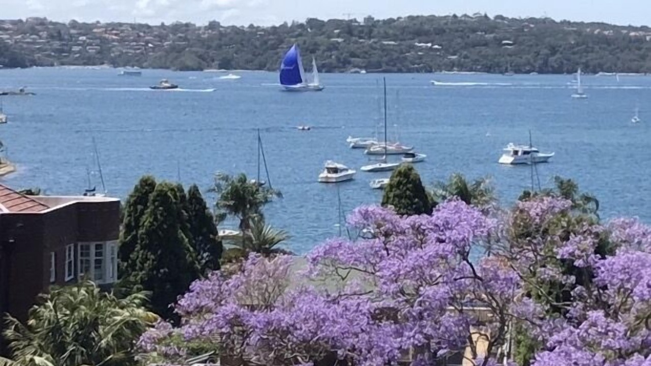 Photo of Others in Rushcutters Bay