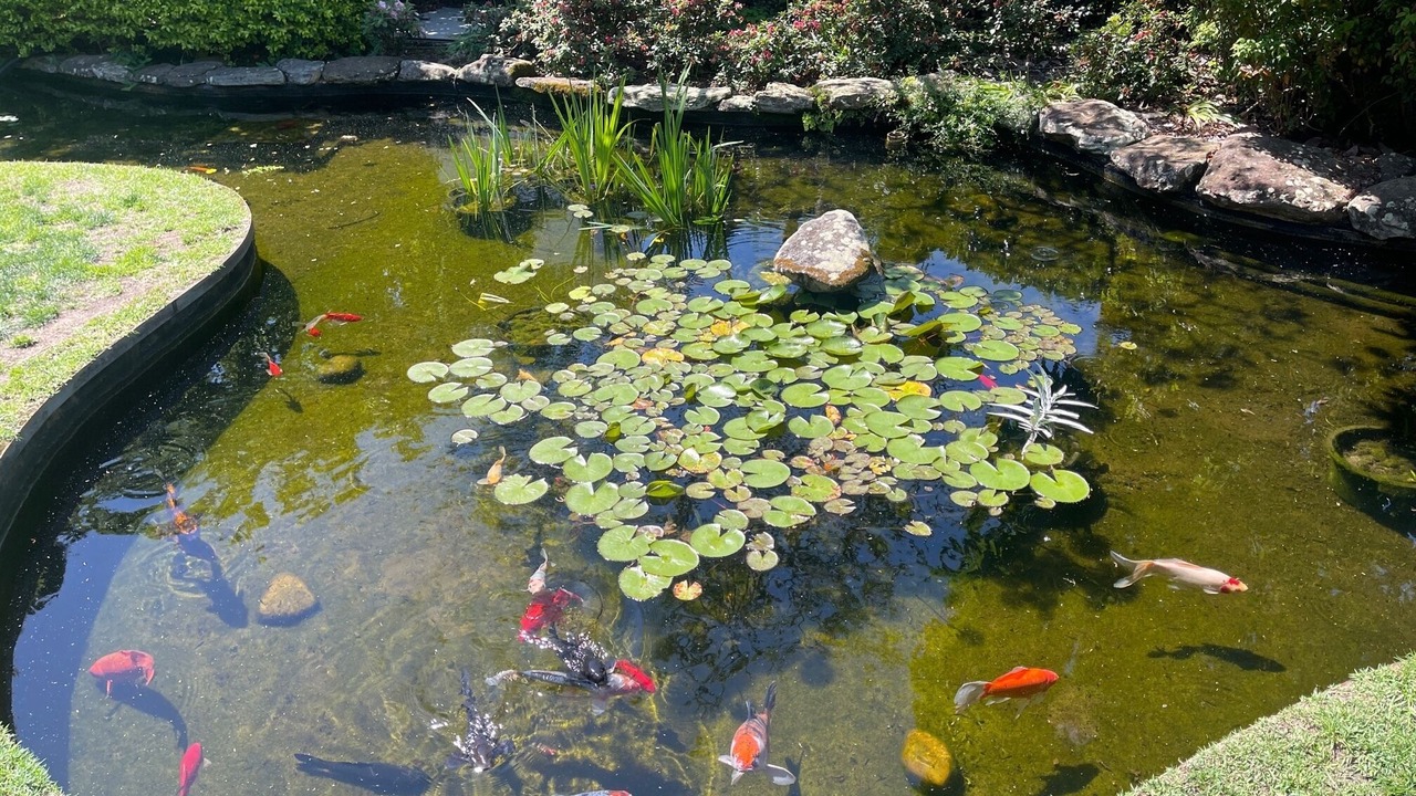 Photo of Outdoor in Rushcutters Bay