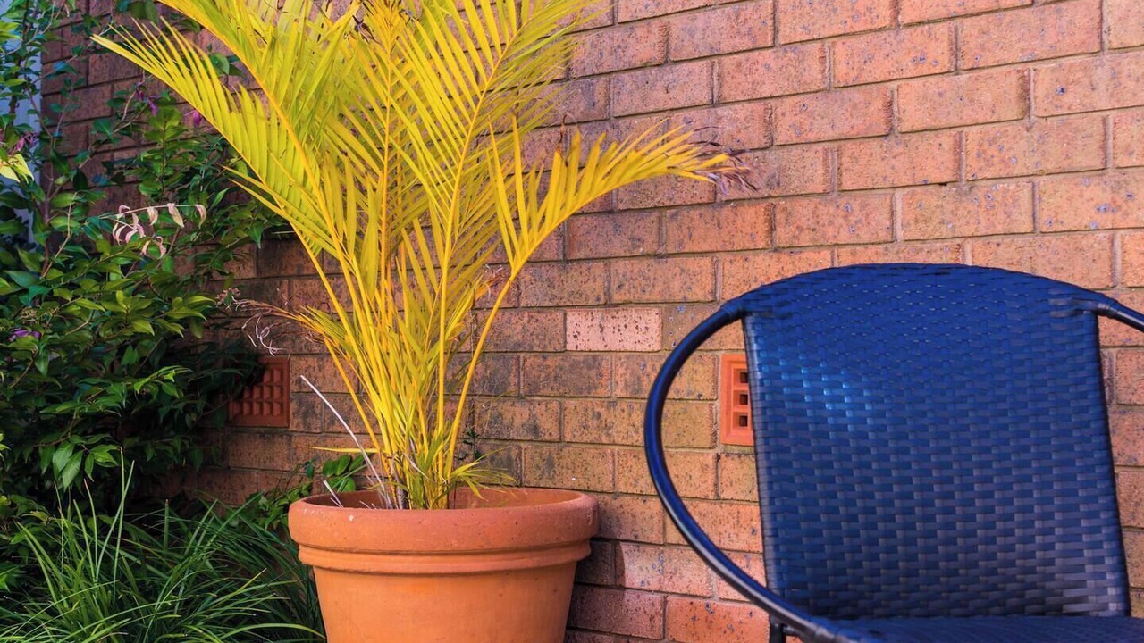 Photo of Outdoor in Sans Souci
