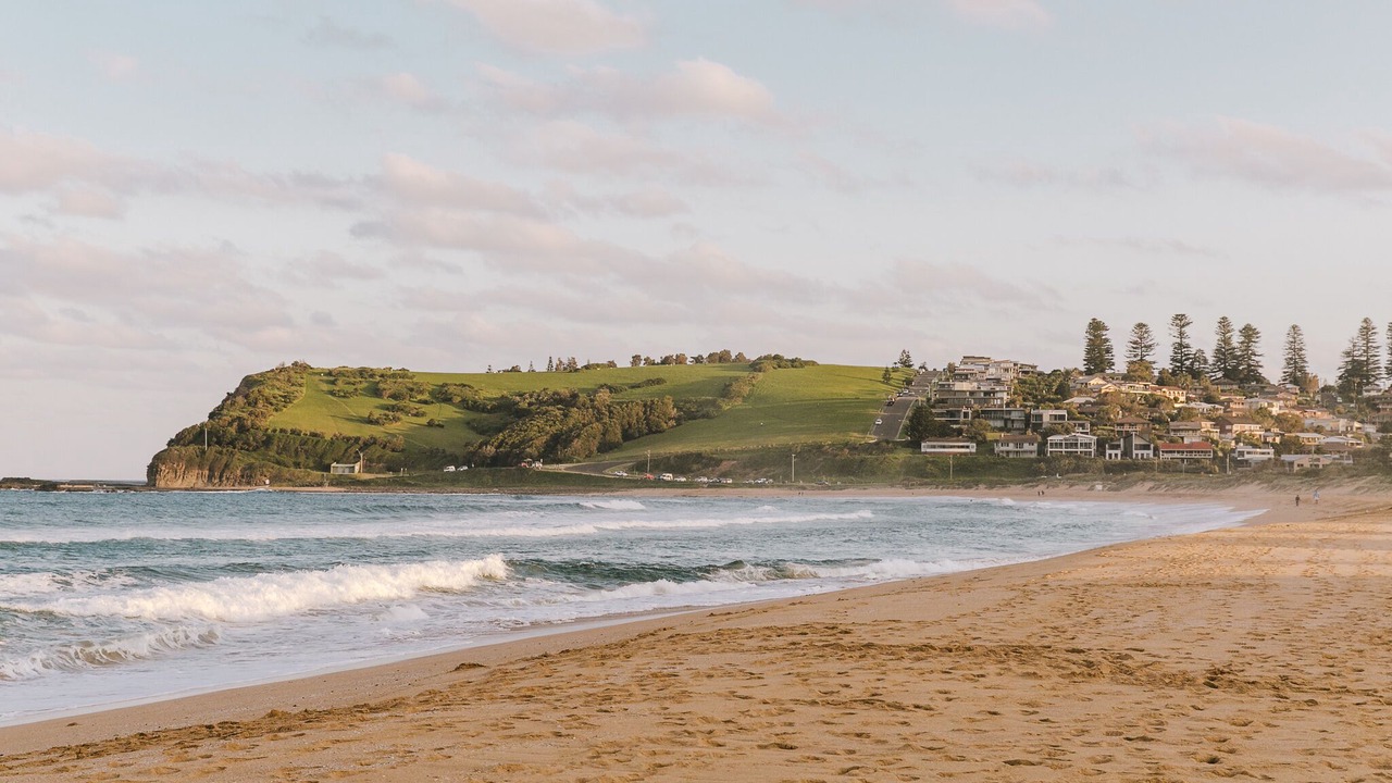 Photo of Others in Werri Beach