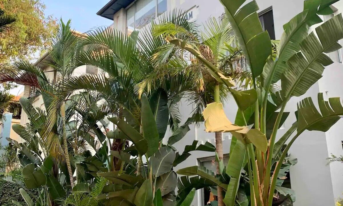 Photo of Outdoor in North Bondi