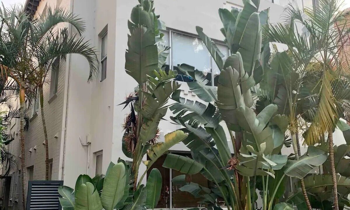 Photo of Outdoor in North Bondi