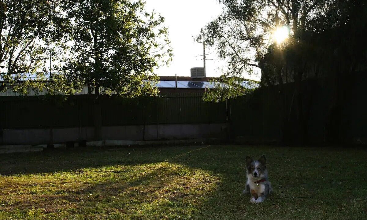 Photo of Outdoor in Bookpurnong