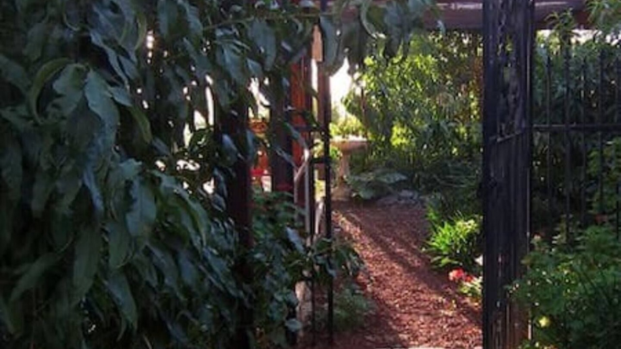 Photo of Outdoor in Bearii