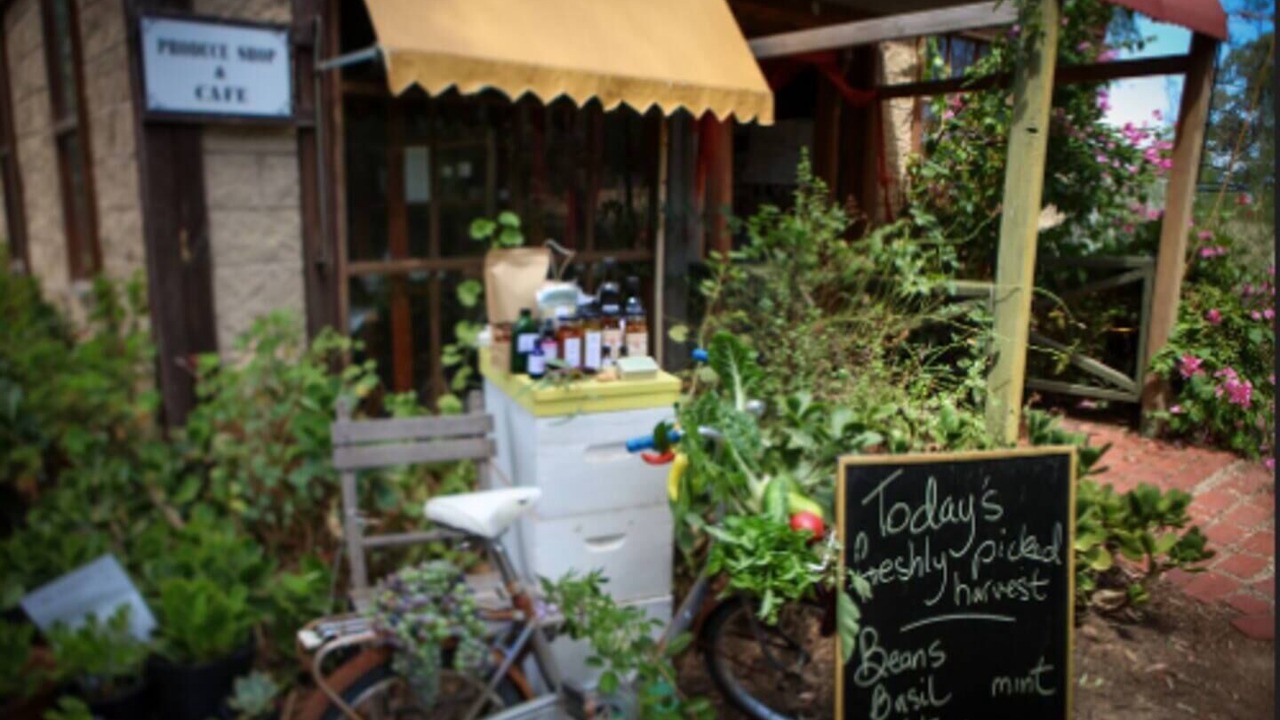 Photo of Outdoor in Bearii