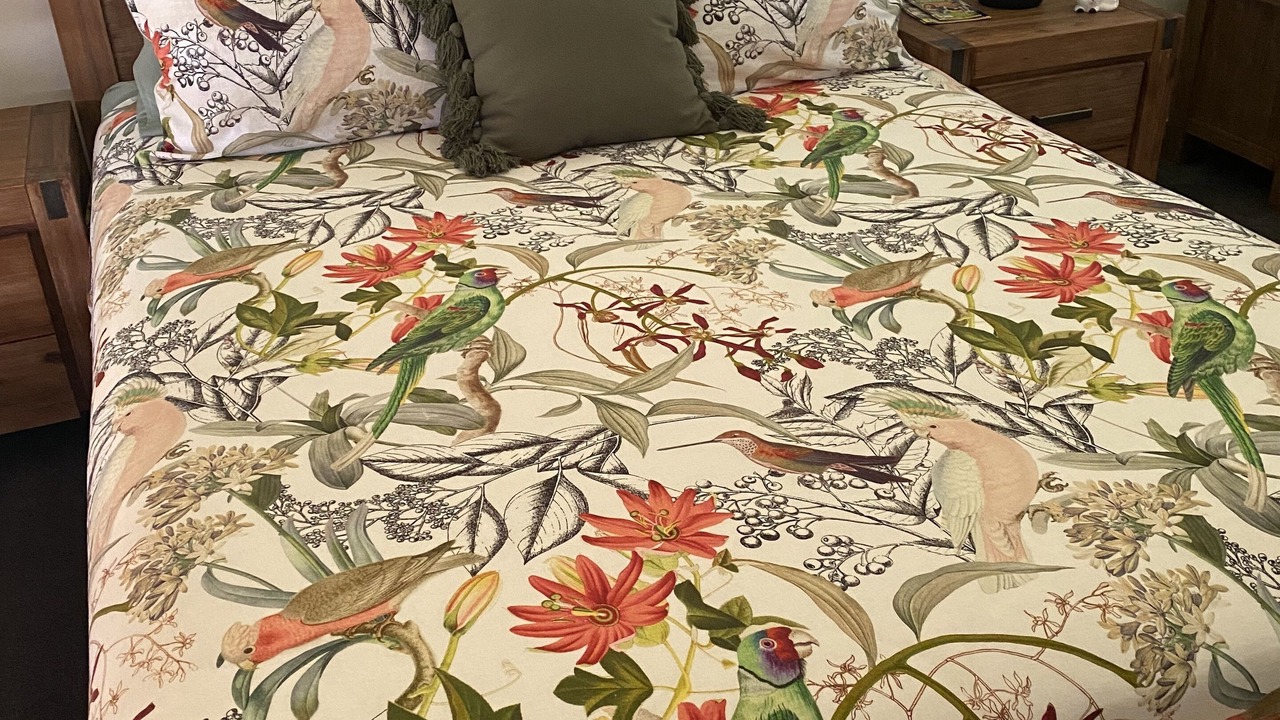 Photo of Bedroom in Brinsmead