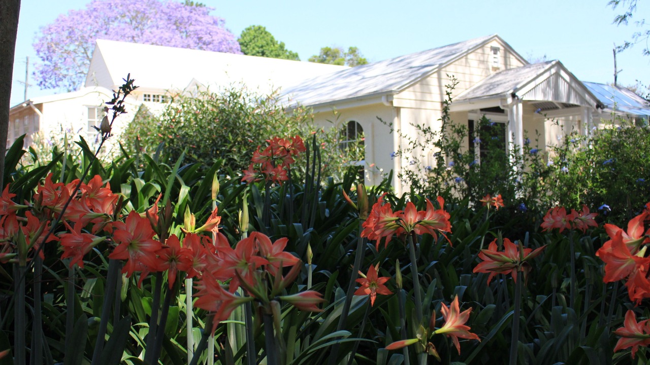 Photo of Outdoor in Balmoral Ridge