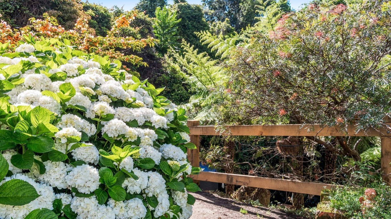 Photo of Outdoor in Bellawongarah