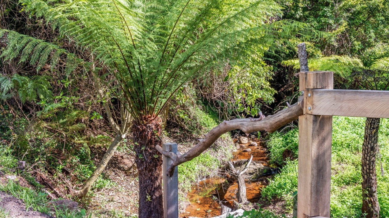 Photo of Outdoor in Bellawongarah
