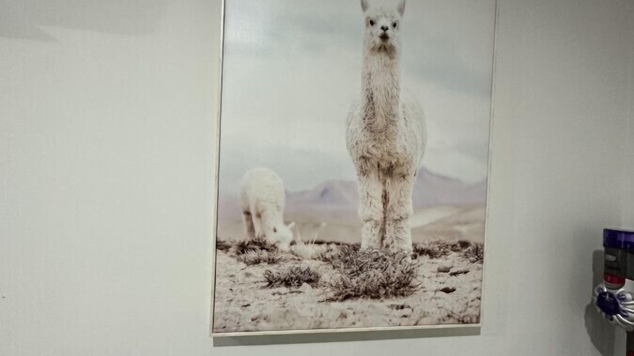 Photo of Others in Wagga Wagga