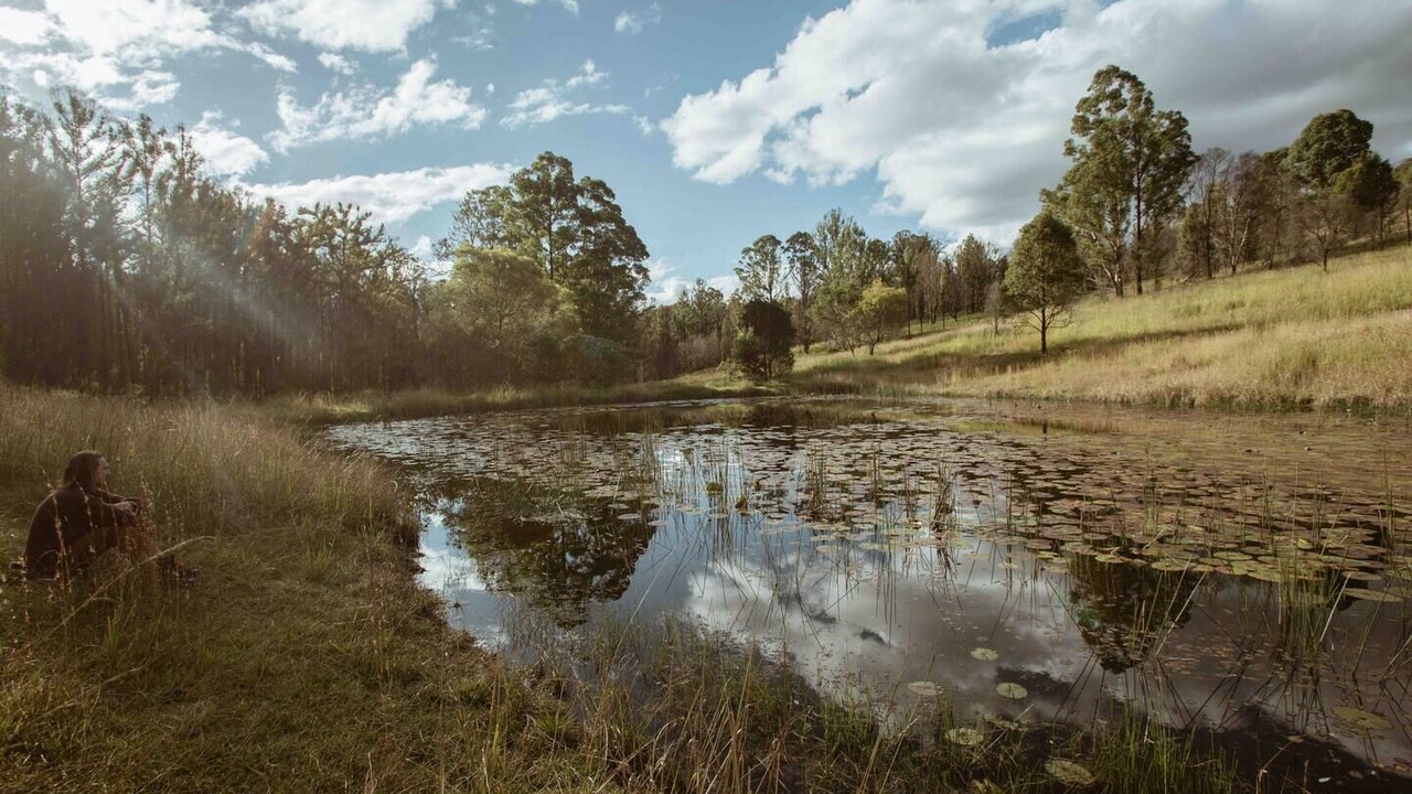 Photo of Others in Possum Brush