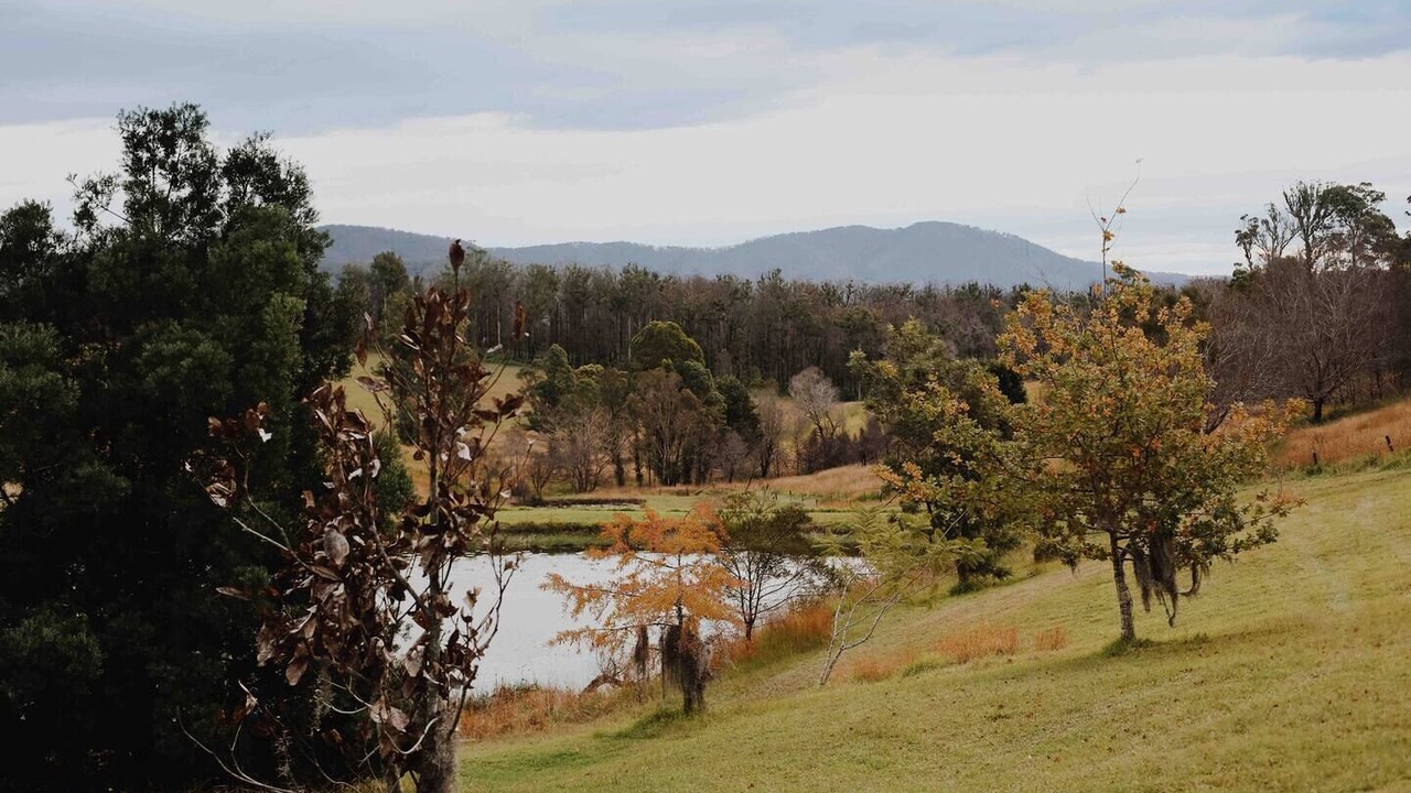 Photo of Others in Possum Brush